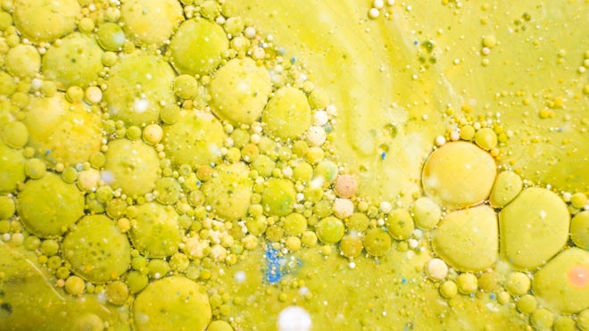 Colorful Acrylic Bubbles - Stock Photos | Motion Array