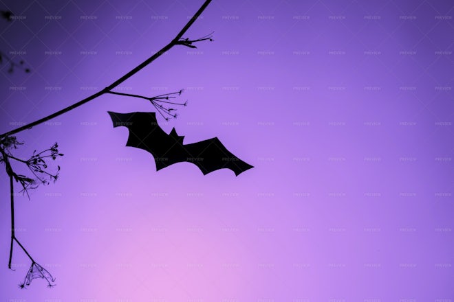 Halloween Paper Bat Background - Stock Photos