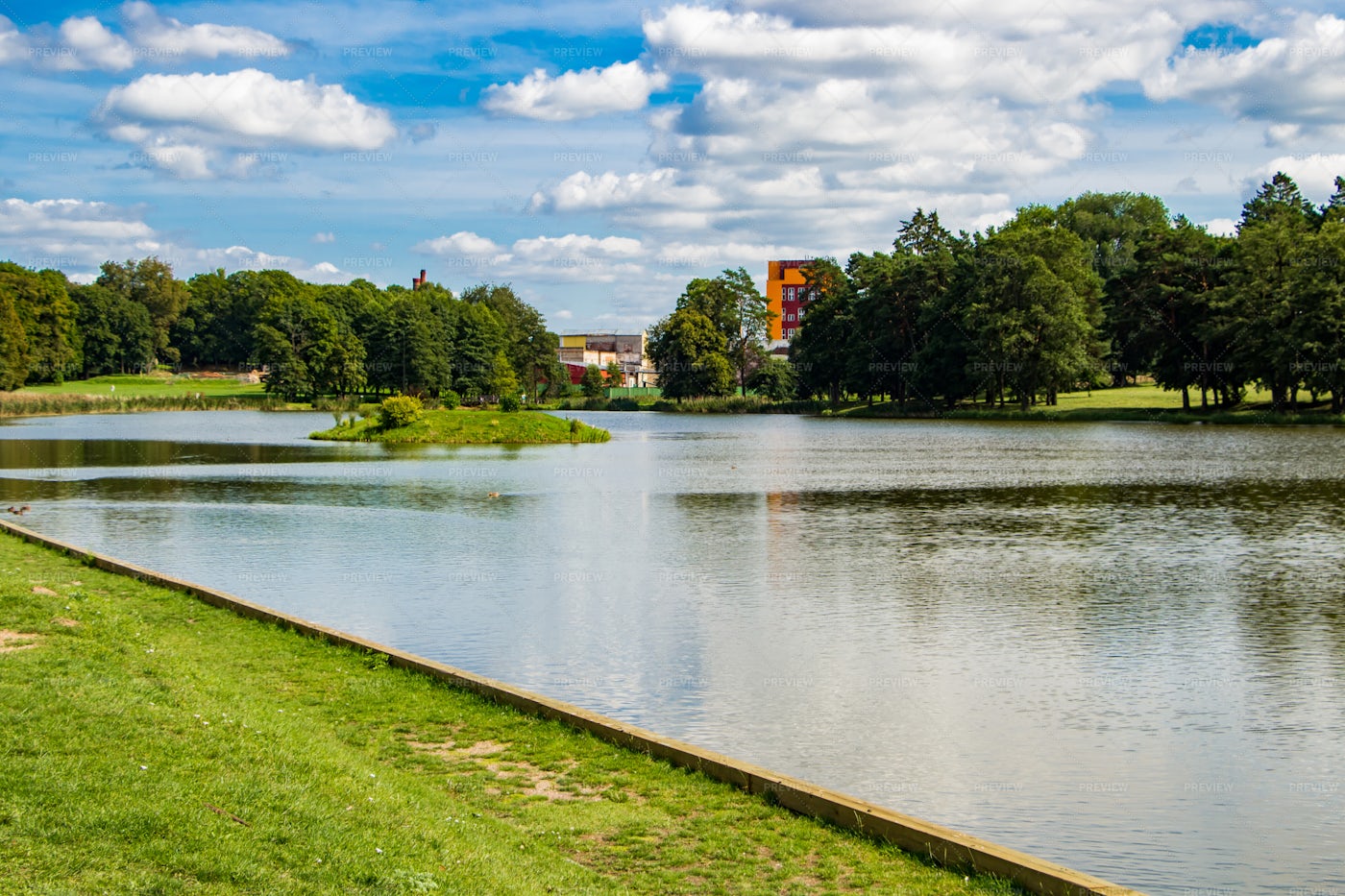 Pond Among Green: Stock Photos