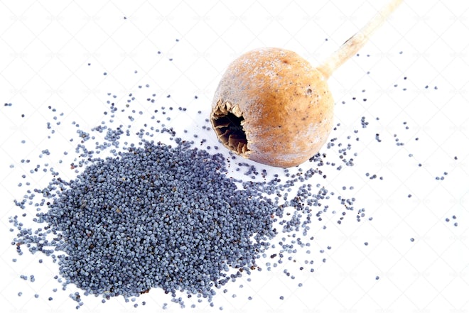 One Poppy Seed - Stock Photos | Motion Array