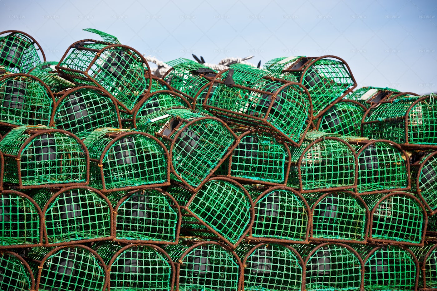 Crab Traps: Stock Photos