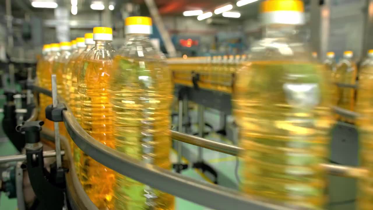 Sunflower Oil Production Plant Stock Video Motion Array