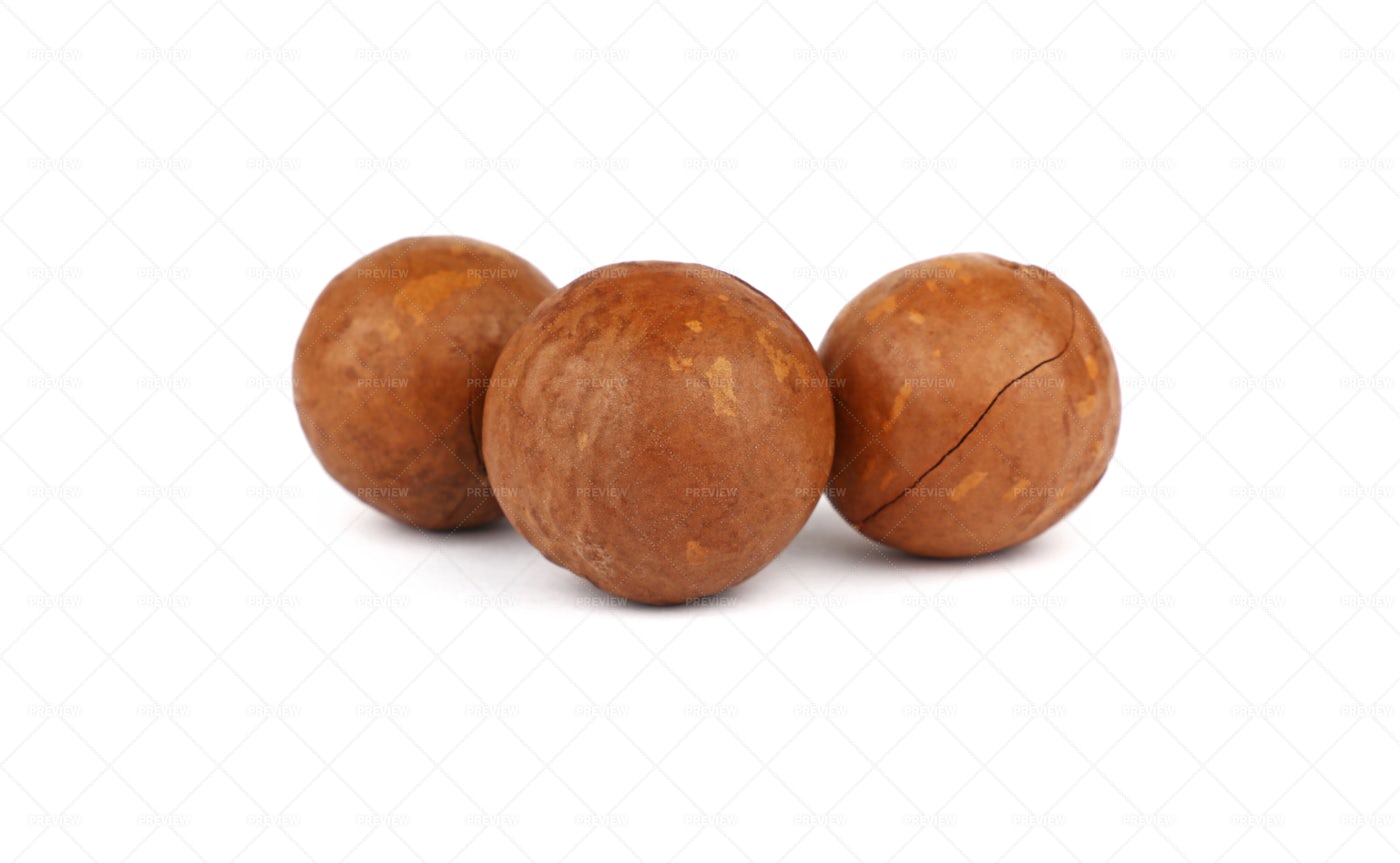 Macadamia Nuts: Stock Photos