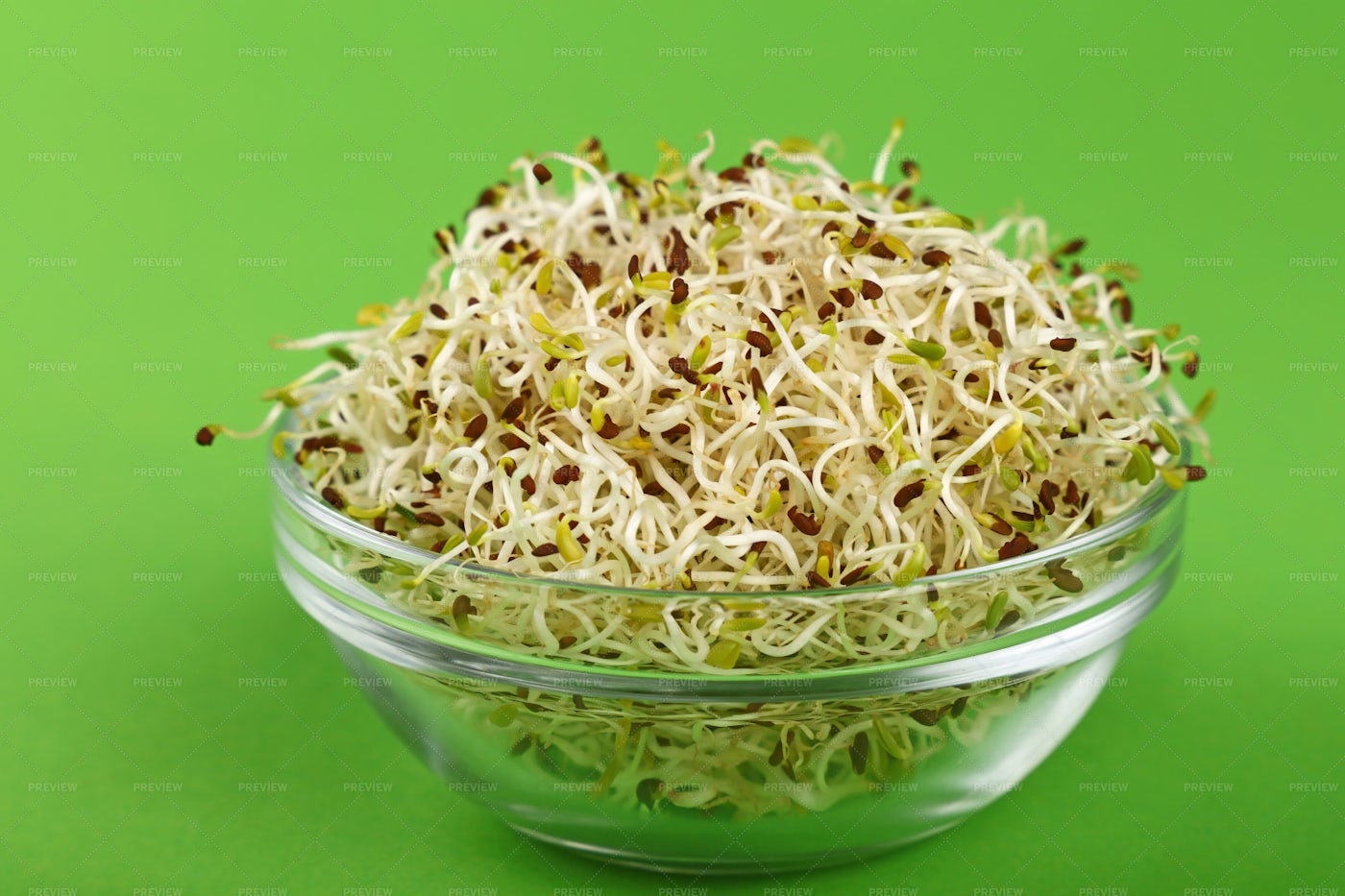 Microgreen Salad Sprouts: Stock Photos