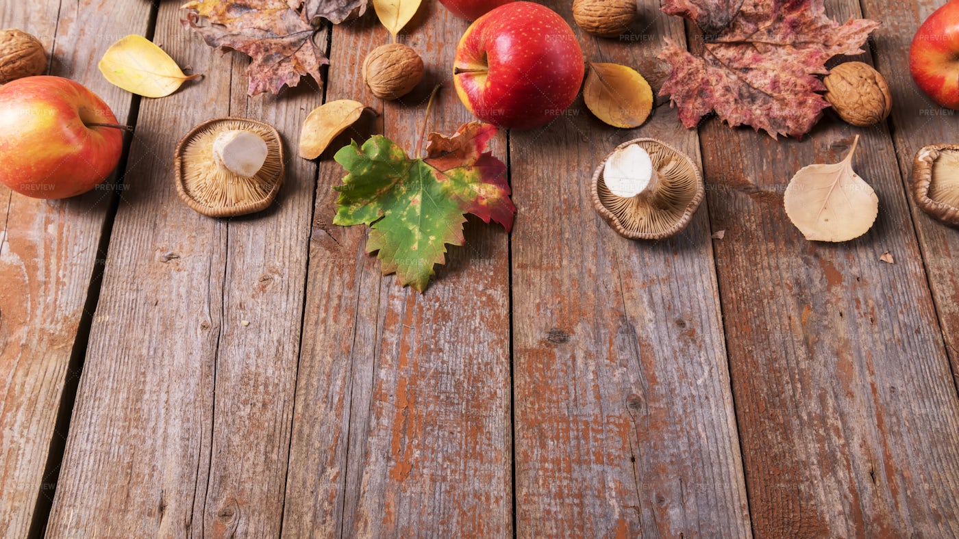 Fall Mushrooms, Apples And Walnuts: Stock Photos