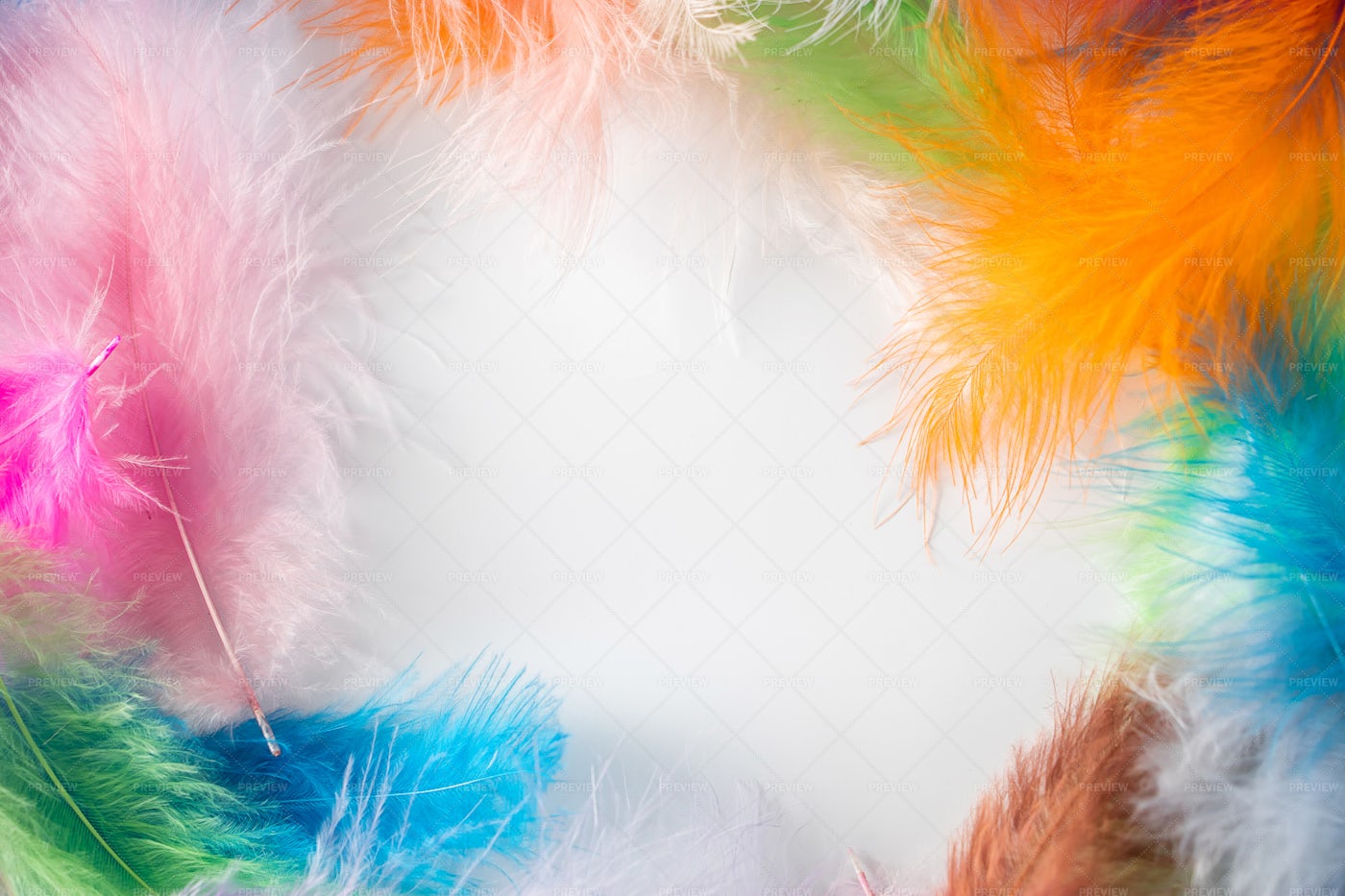 Frame Of Feathers: Stock Photos