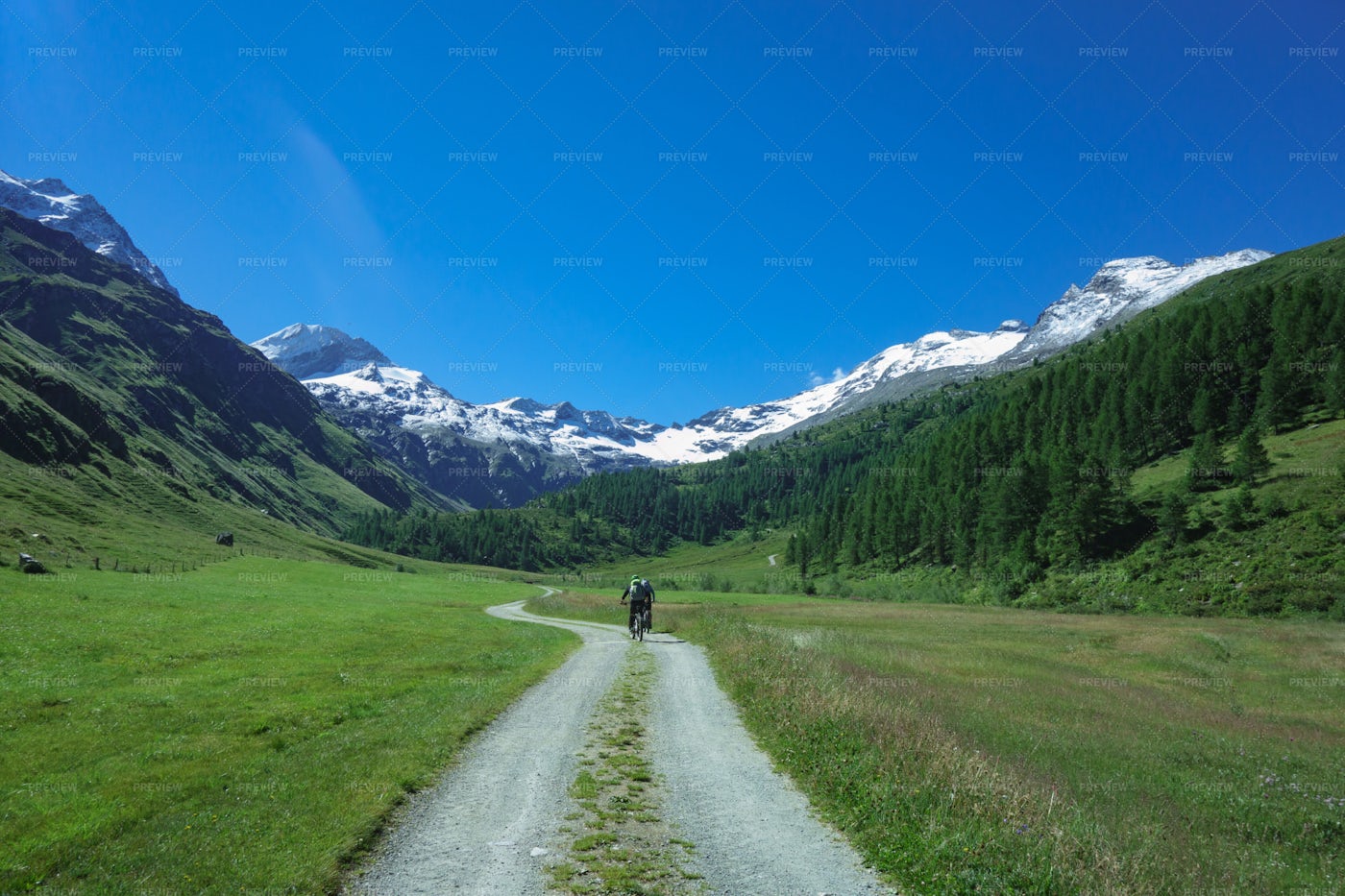 Road In High Mountains: Stock Photos