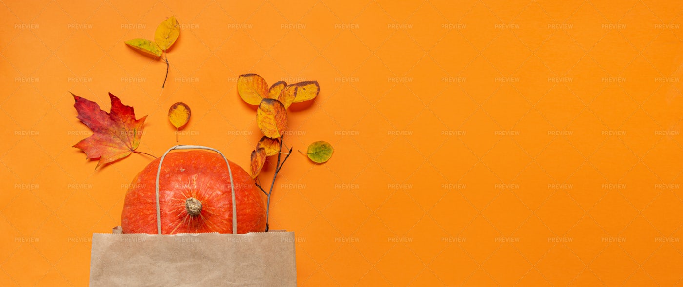 Pumpkin In A Bag: Stock Photos