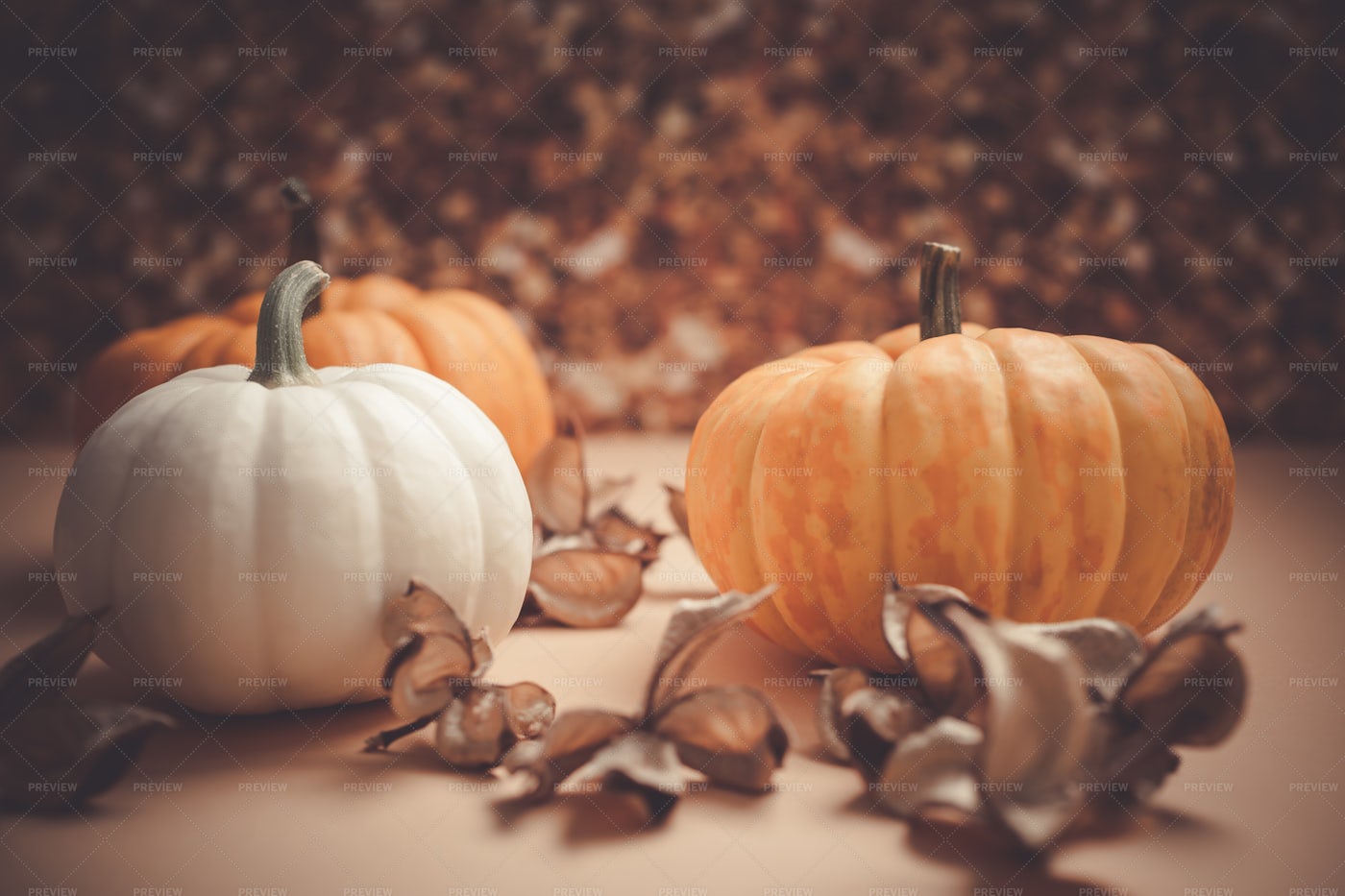 Orange And White Pumpkins: Stock Photos