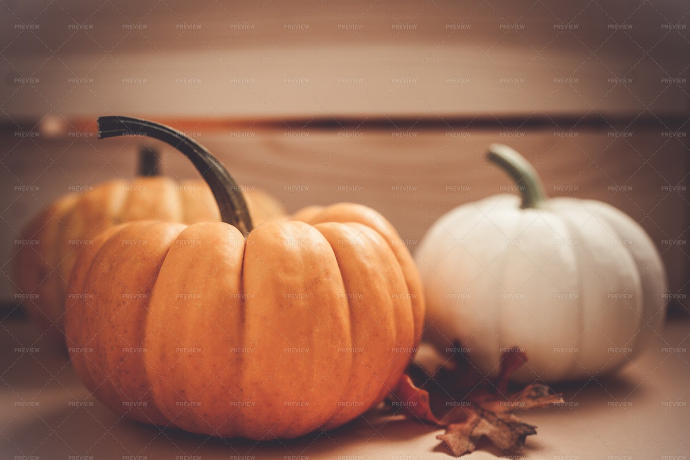 Three Pumpkins: Stock Photos