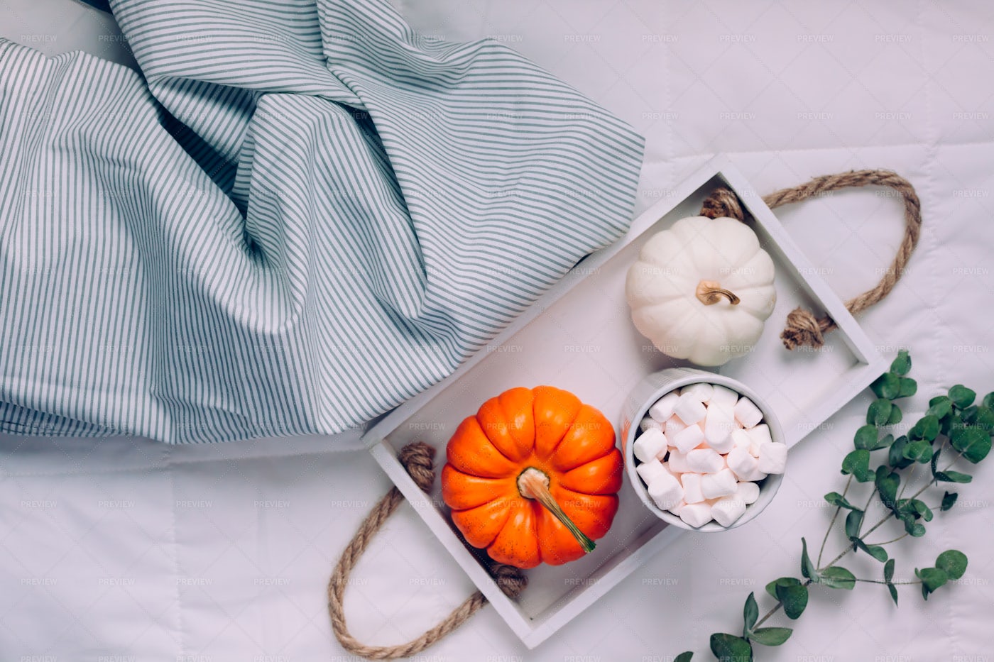 Sweet Autumn Morning Breakfast: Stock Photos