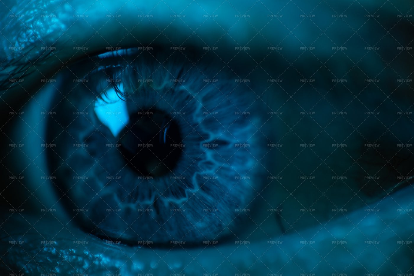Eyeball In Blue Light: Stock Photos