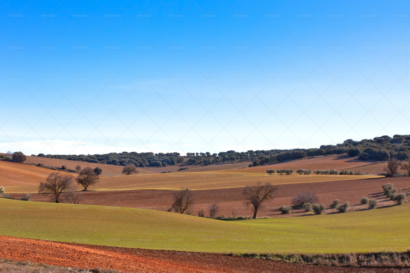 Spain Farmland: Stock Photos