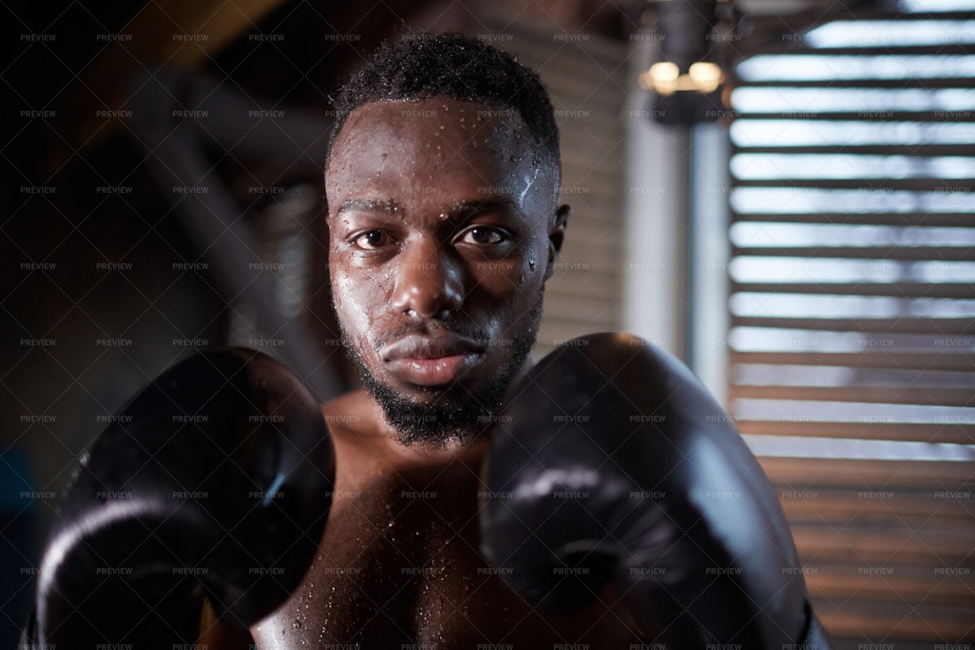 Sportsman In Boxing Gloves: Stock Photos