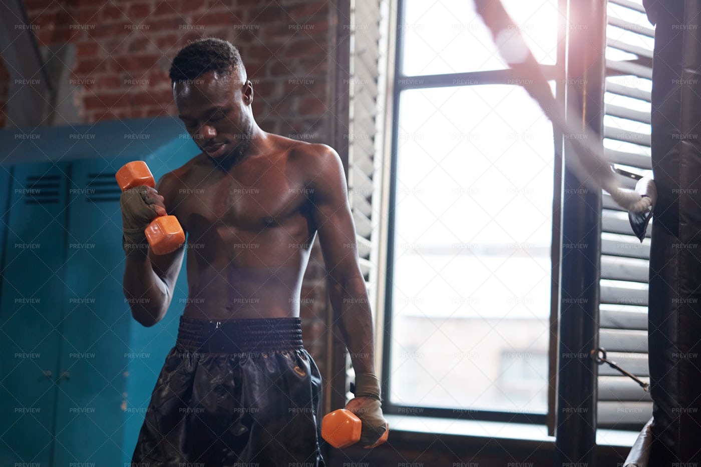 Boxer Training With Dumbbells: Stock Photos