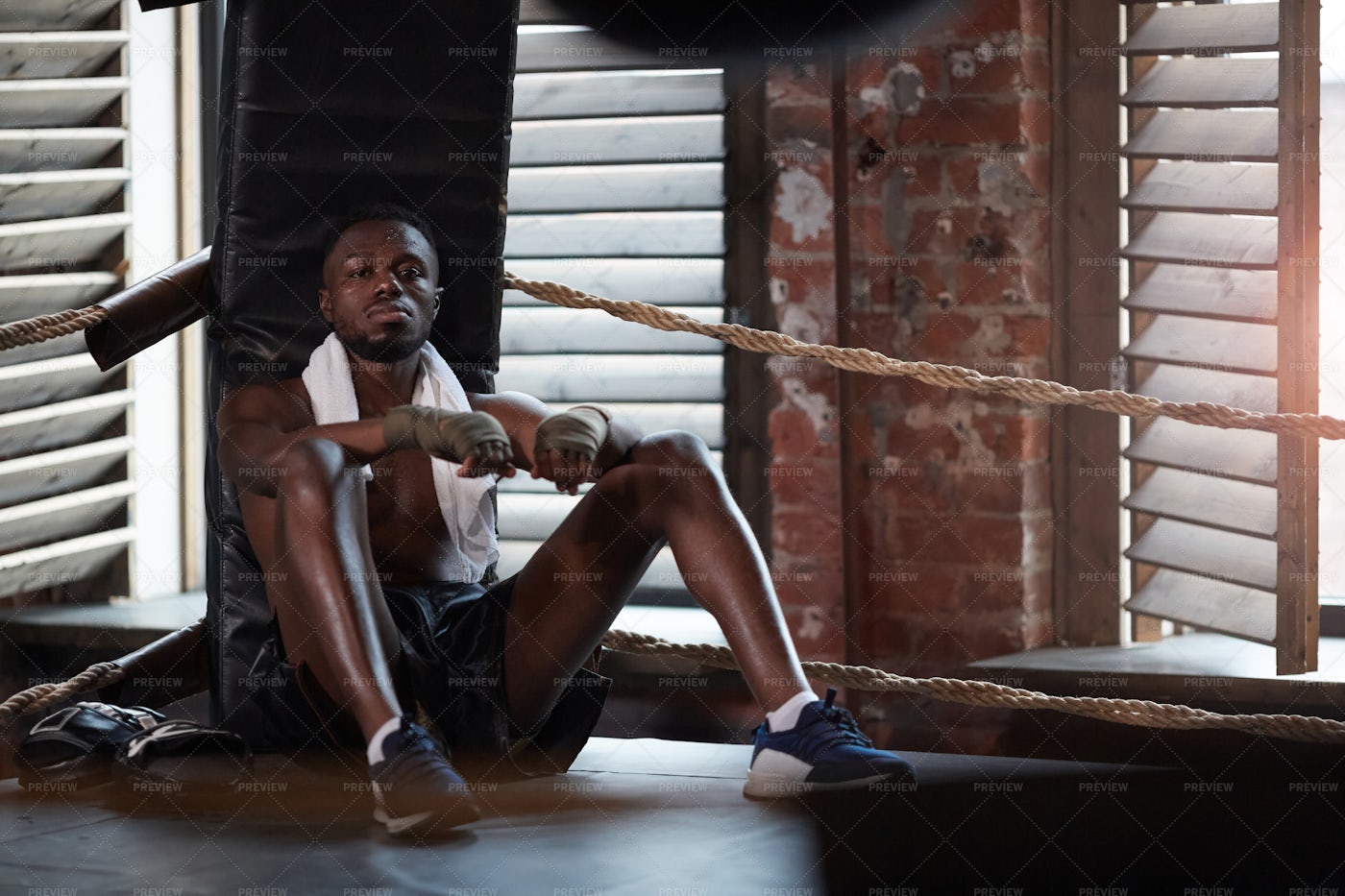 Seated Boxer Rests While Training: Stock Photos