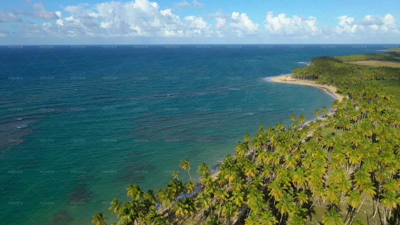 Miches Tropical Coast: Stock Photos