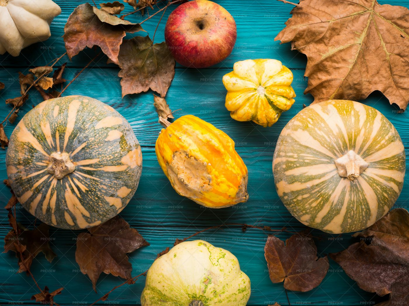 Autumn Harvest Background: Stock Photos