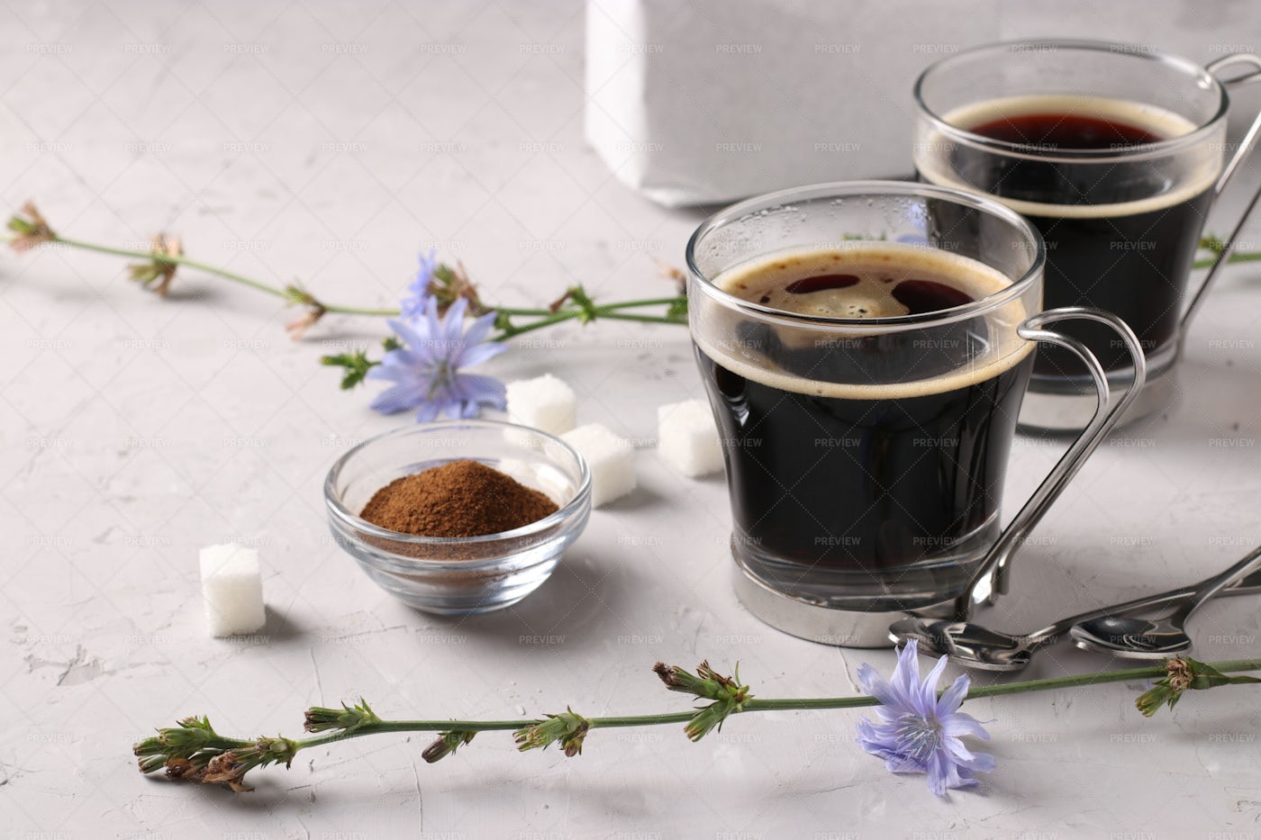 Healthy Chicory Beverage: Stock Photos