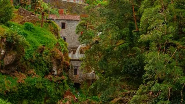 Natural Landscape In The Jungle: Stock Video