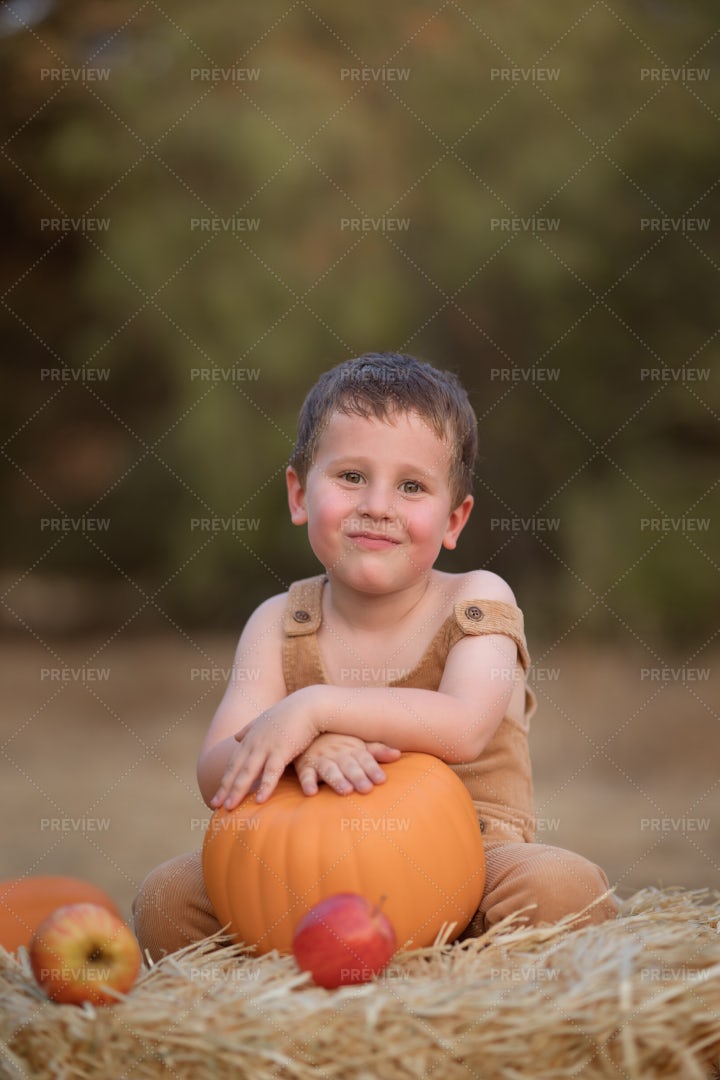 Boy On Pumpkin Patch: Stock Photos