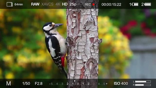 Camera Recording Overlay - Stock Motion Graphics | Motion Array