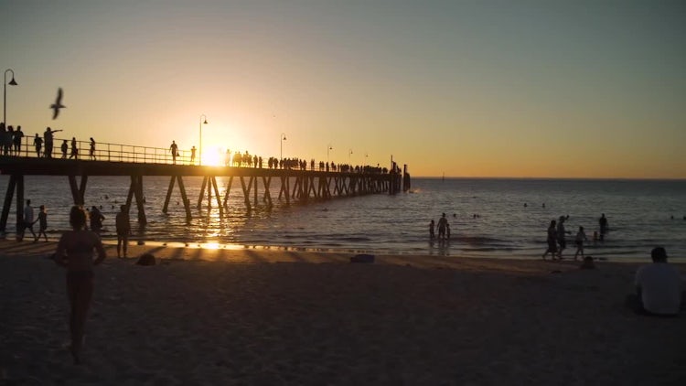 Relaxing On Pier At Sunset: Stock Video