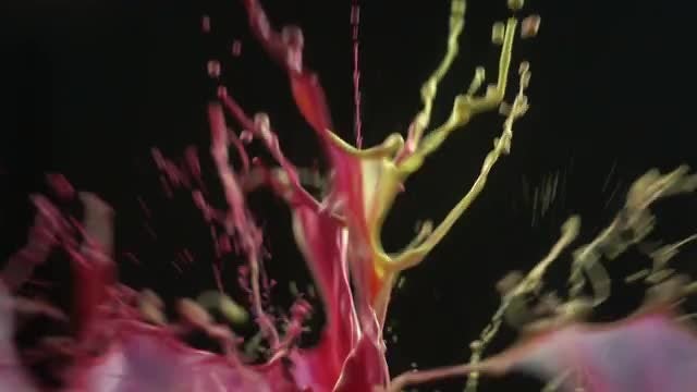 Colored Paint Mixture Splashing : Stock Video