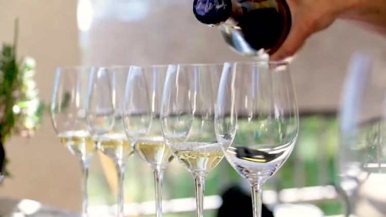 Wine Tasting And Pouring: Stock Video