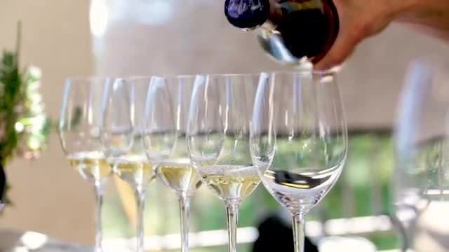 Wine Tasting And Pouring: Stock Video