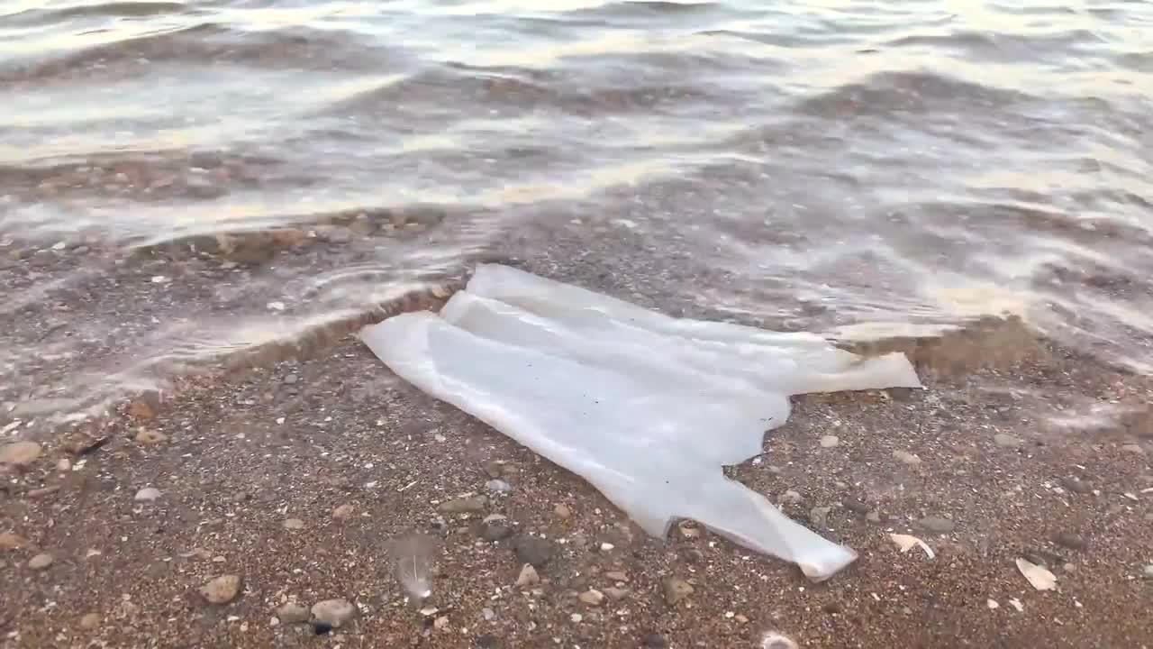 Plastic Bag Floating At Beach Stock Video Motion Array