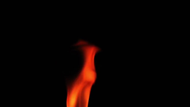 Close-up Shot Of Fire Flames : Stock Video