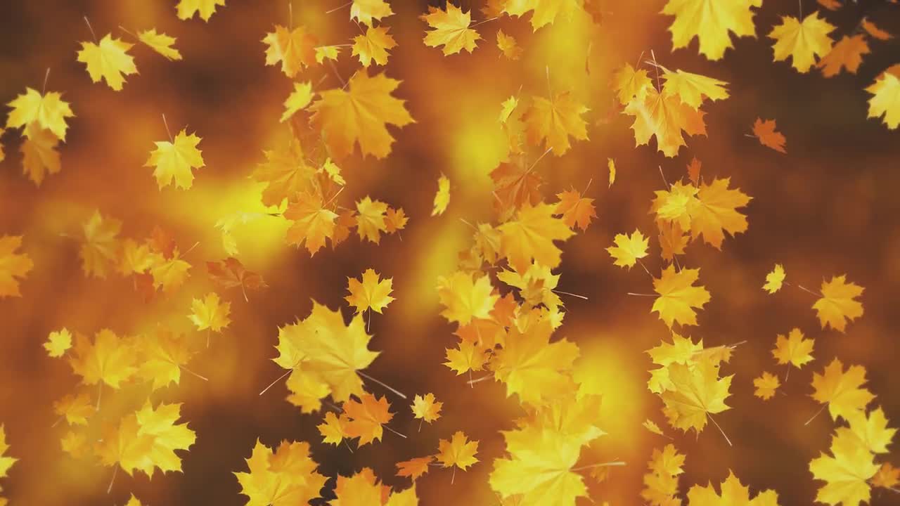 Gold Autumn Leaves Loop - Stock Motion Graphics | Motion Array