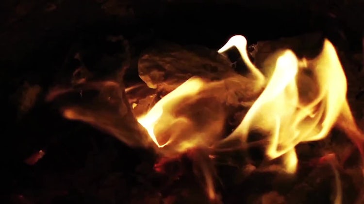 Golden-Yellow Flames Burning At Night: Stock Video