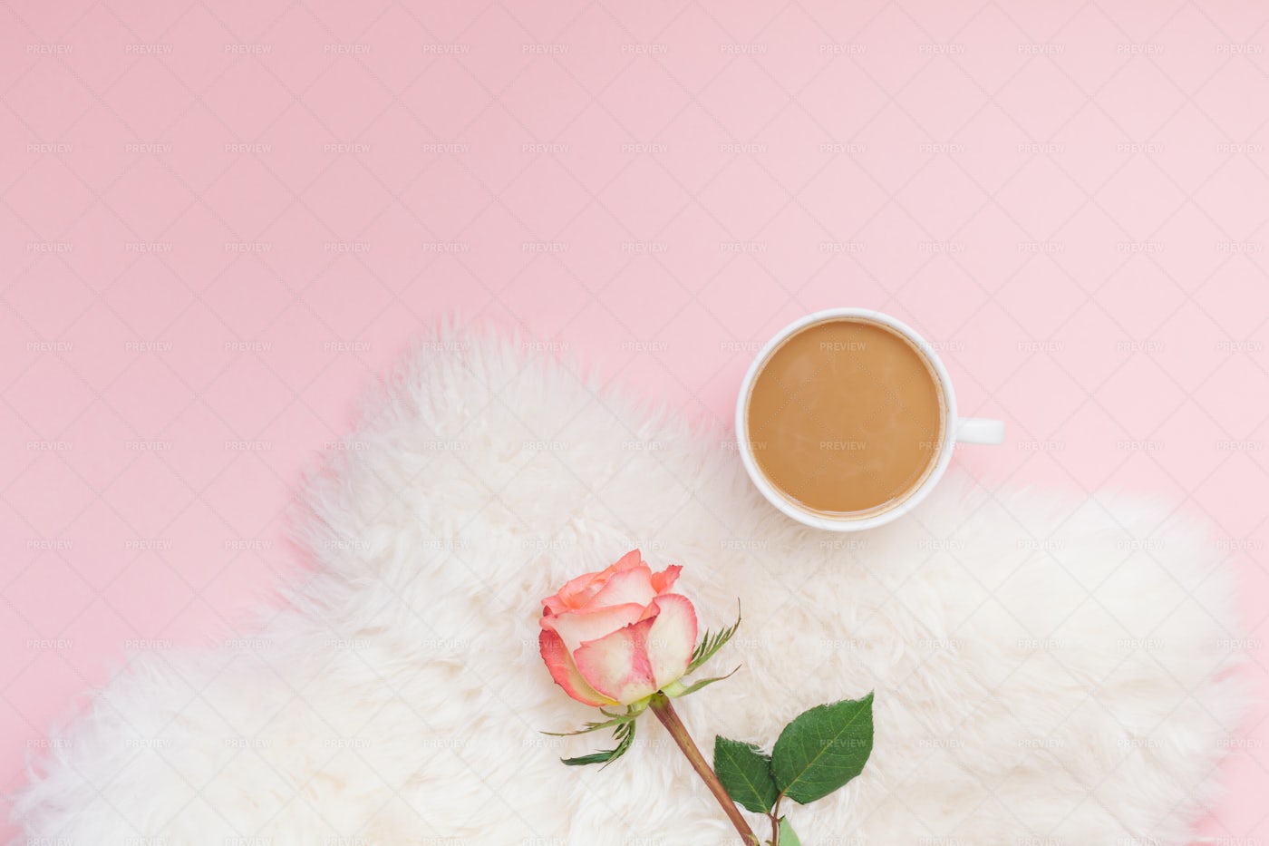 Coffee And Rose Flower: Stock Photos