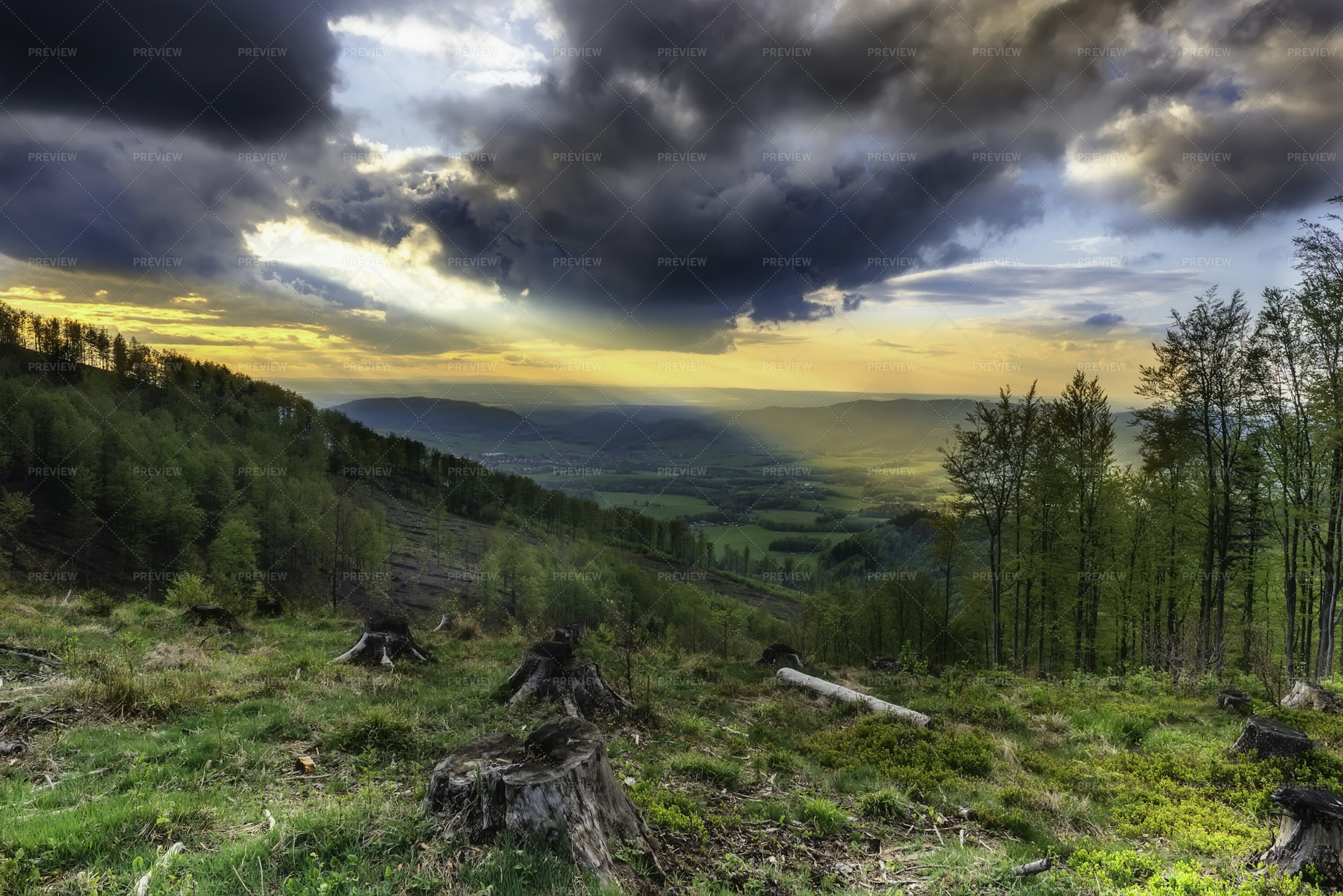 Foothill Spring Landscape Stock Photos Motion Array