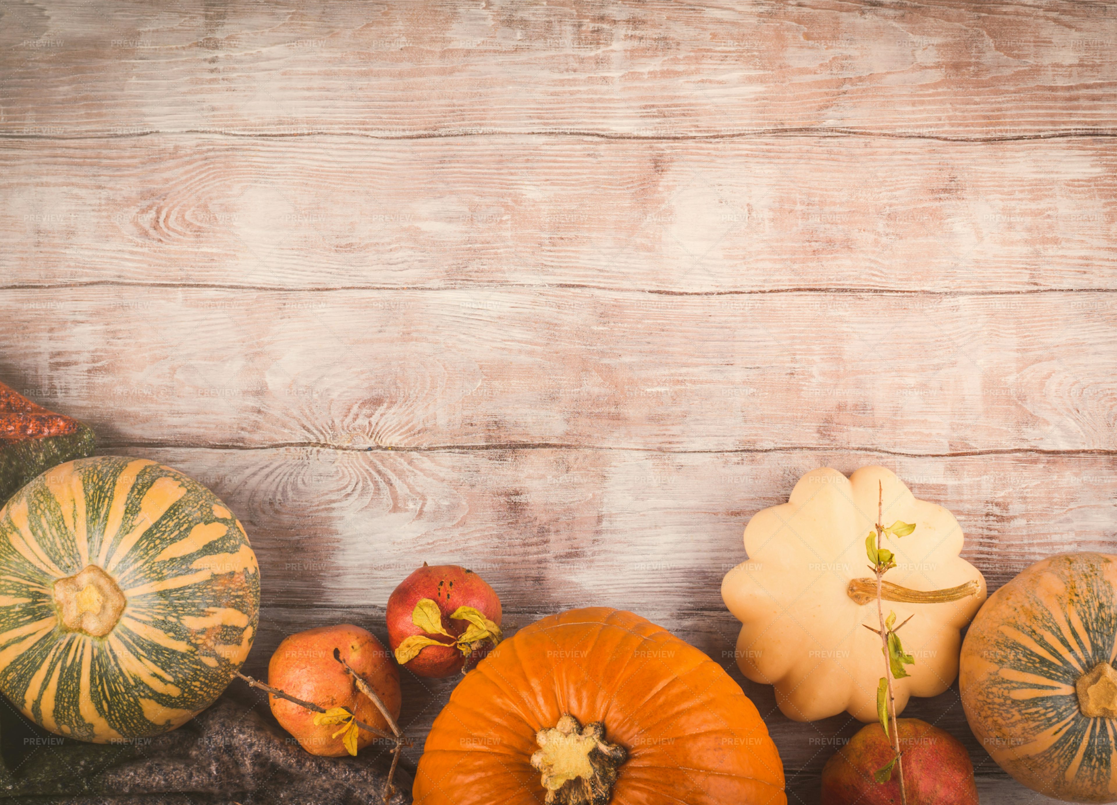 Autumn Harvest Background - Stock Photos | Motion Array