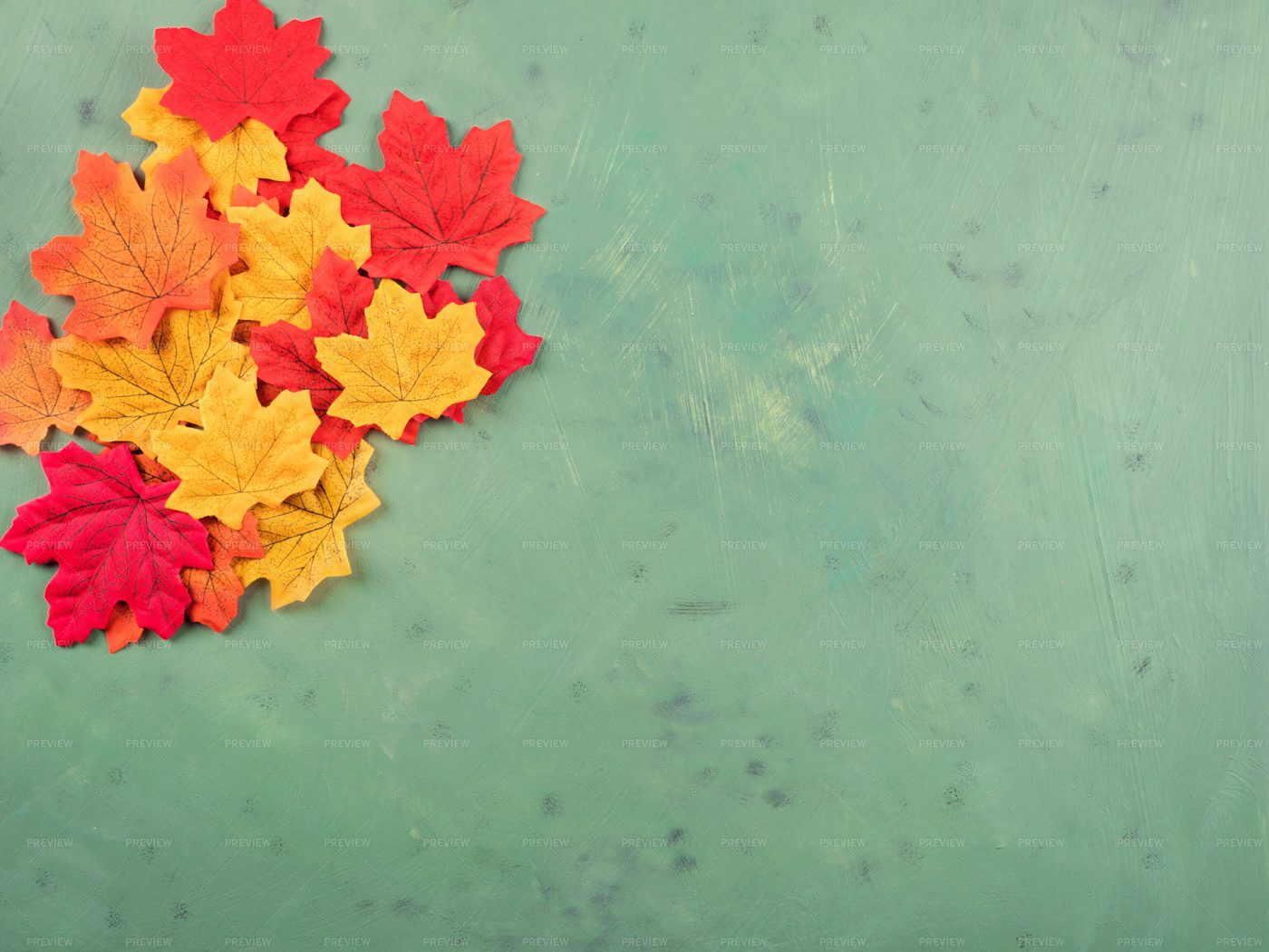 Maple Leaves On Green: Stock Photos