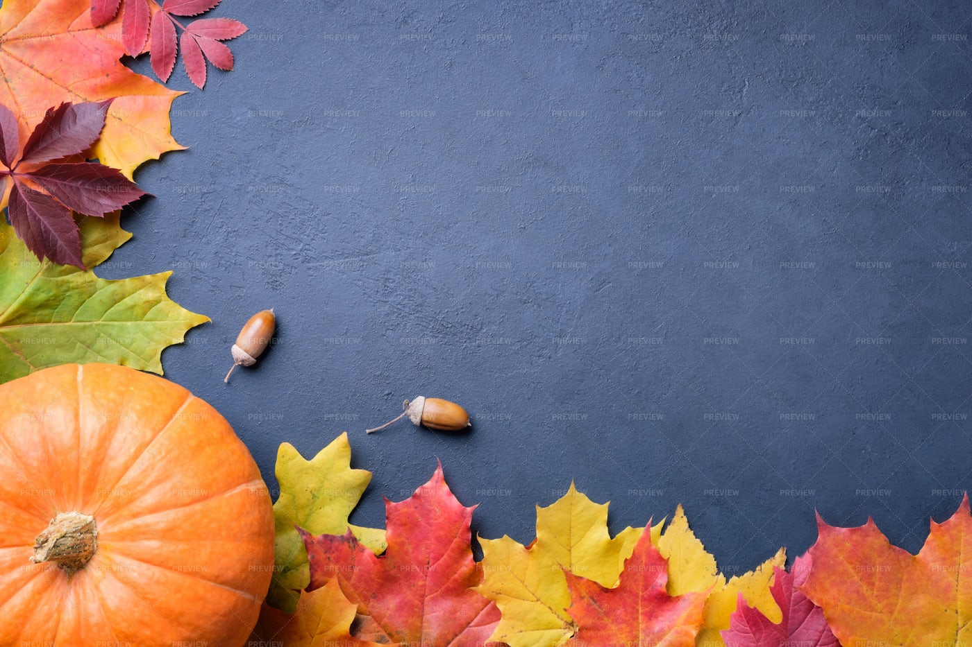 Autumn Still Life: Stock Photos