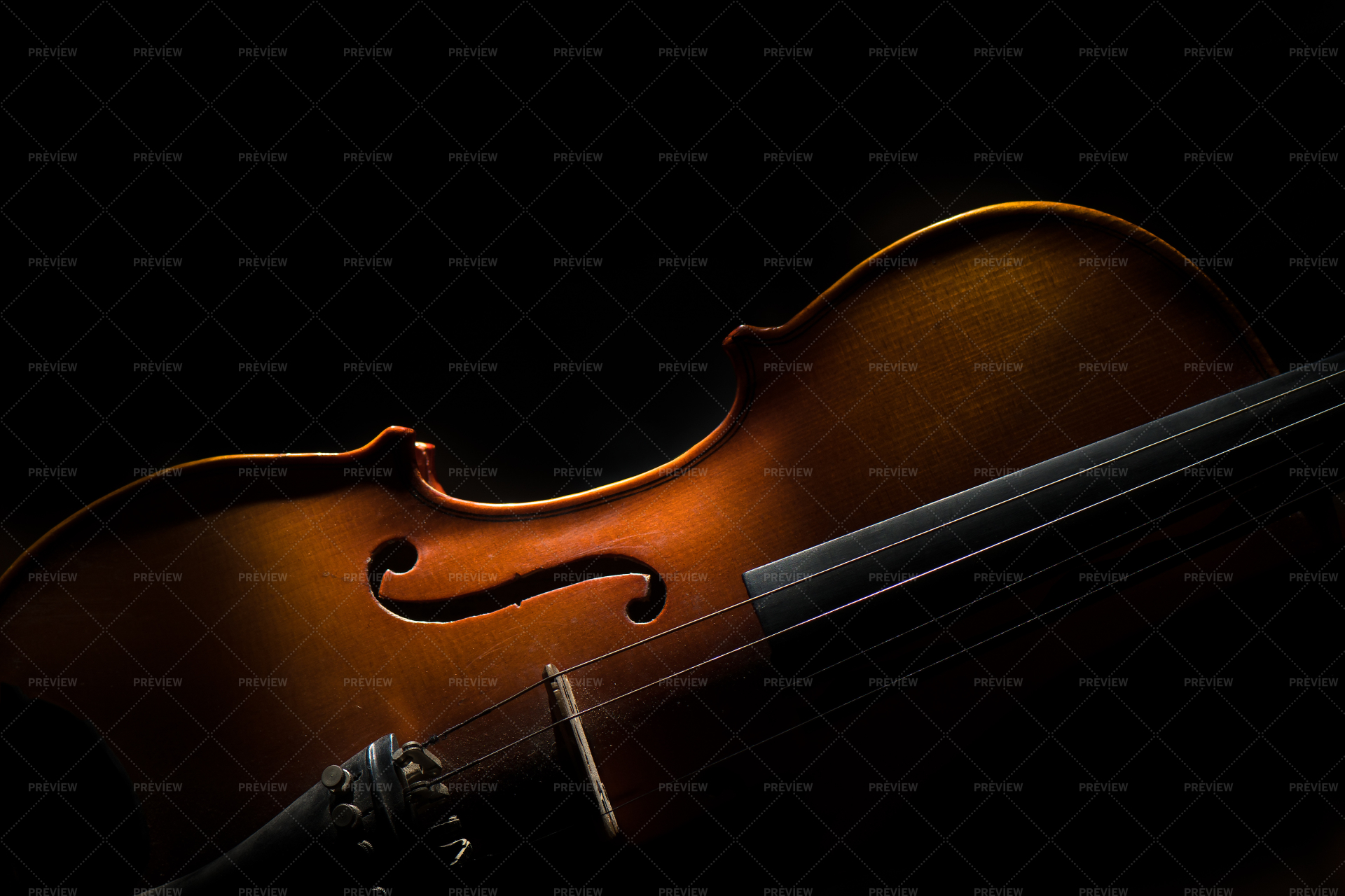 Violin - Stock Photos | Motion Array