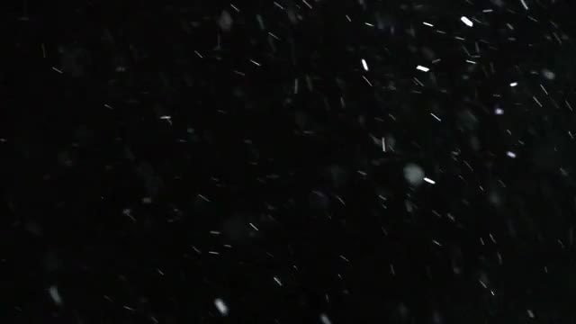 Winter Snowfall Slow Motion: Stock Video