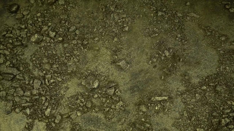 Gold Particles Blown By Wind: Stock Video