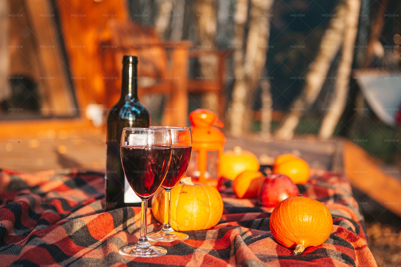 Pumpkins And Red Wine: Stock Photos