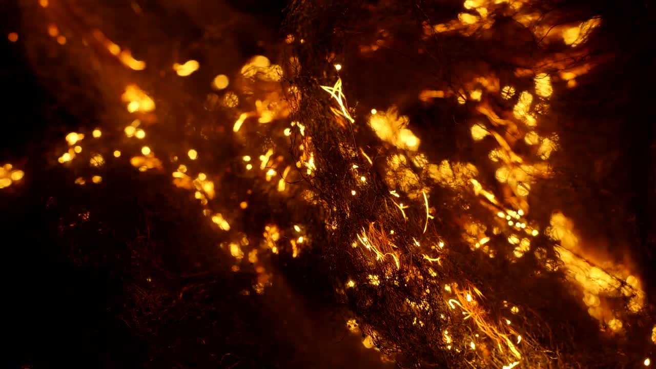 Burning Steel Wool Embers Stock Video Motion Array