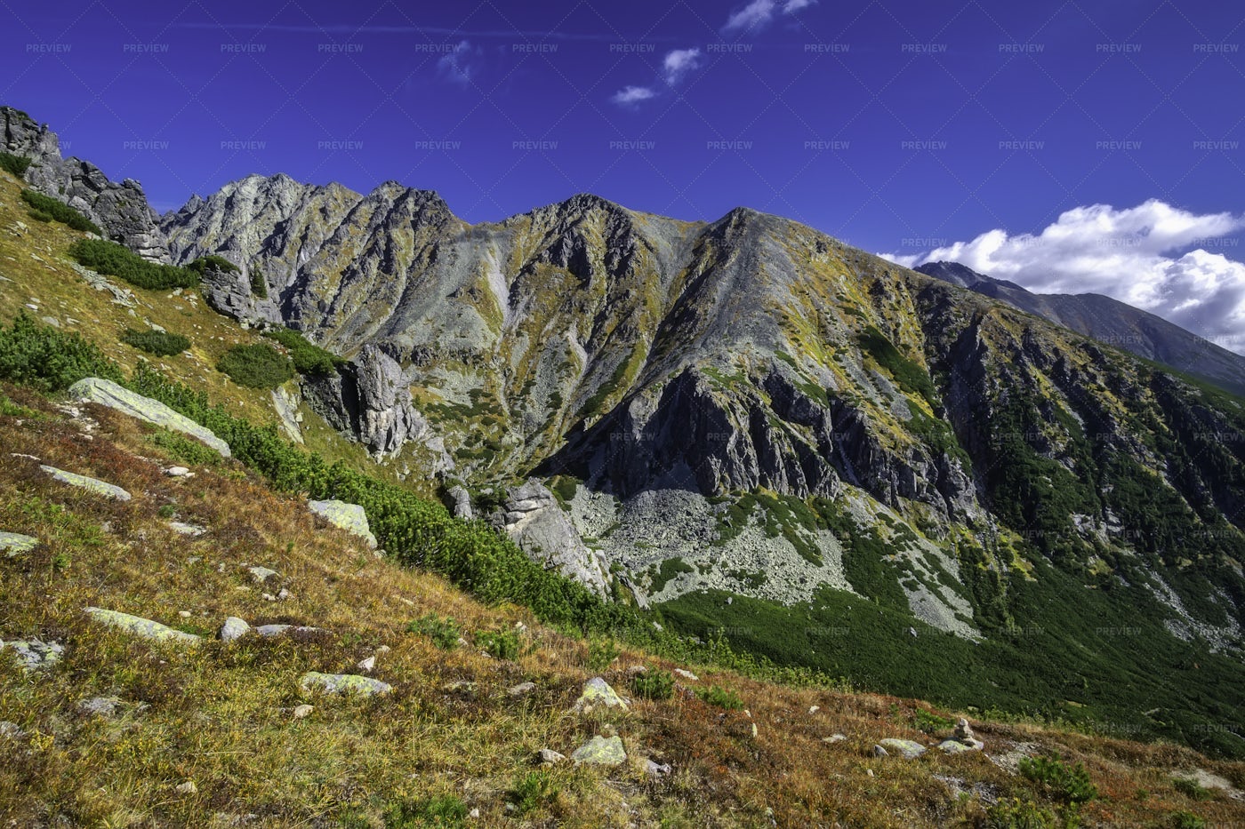 Autumn View Of Mountains: Stock Photos
