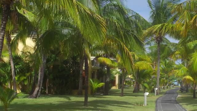 Park In Mauritius Island: Stock Video