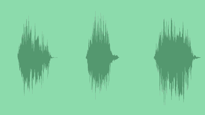 Sheep: Sound Effects