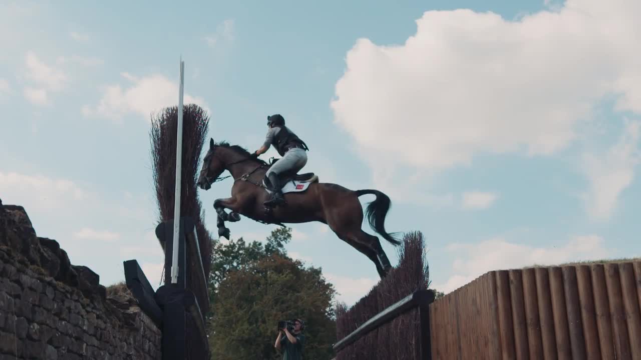 A Horse Jumps Over A Fence Stock Video Motion Array