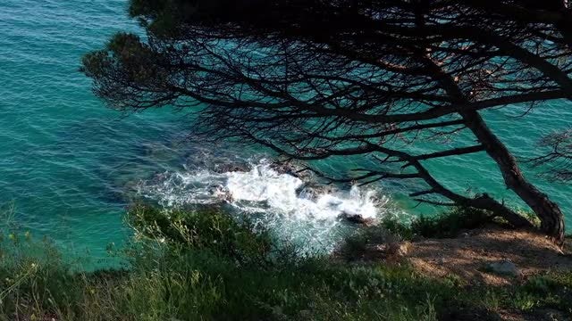 Wind And Sea: Stock Video