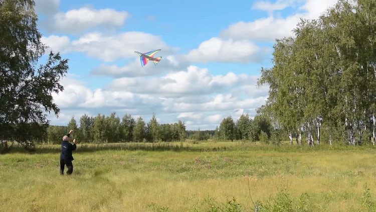 Senior Man Flying A Kite: Stock Video
